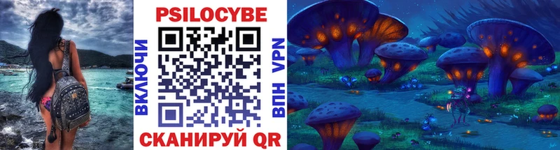 гидра вход  где найти   Суворов  Галлюциногенные грибы Cubensis 