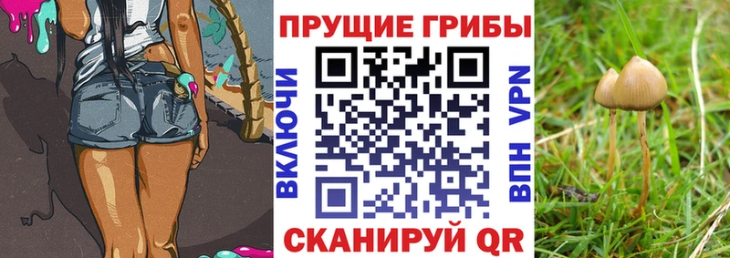 Галлюциногенные грибы ЛСД Суворов